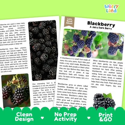 Teacher answer key page showing complete question solutions for blackberry reading comprehension practice