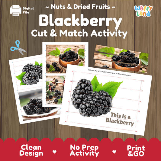 Blackberry Cut and Match Activity Worksheets | Nuts and Dried Fruits Puzzle Printables