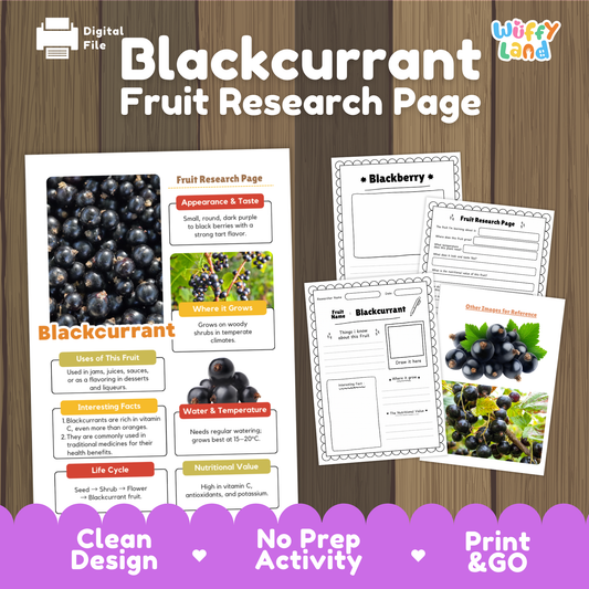 Student fruit research printable fact sheet detailing blackcurrant appearance, Vitamin C facts, cool climate, and nutrition with real images 📝🔍