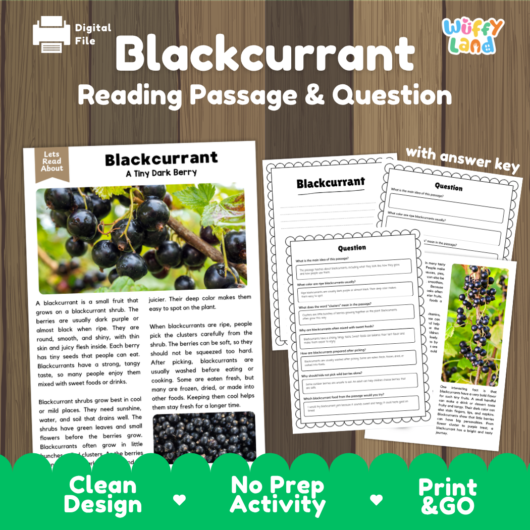 Blackcurrant reading comprehension passage and questions printable activity pack with answer key for elementary students