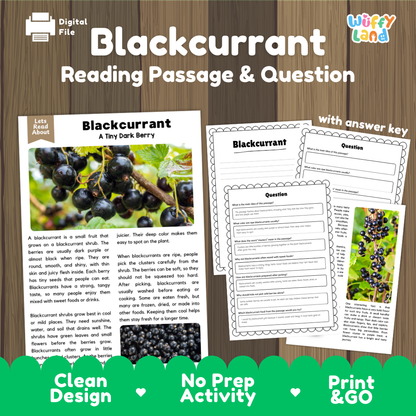 Blackcurrant reading comprehension passage and questions printable activity pack with answer key for elementary students
