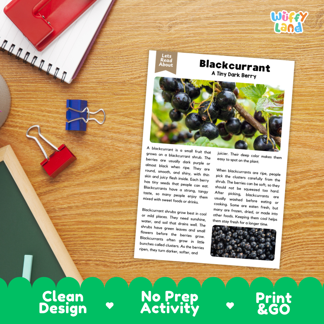 Student reading comprehension worksheet with short-answer questions and lined sections about blackcurrants