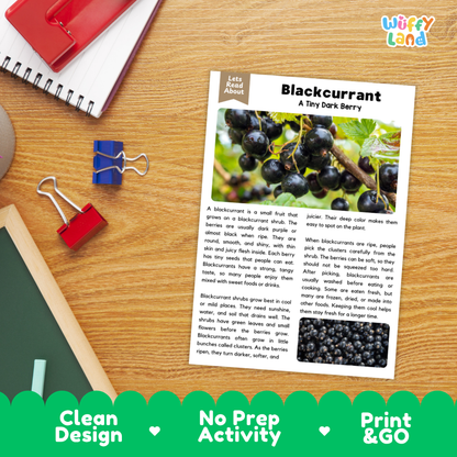 Student reading comprehension worksheet with short-answer questions and lined sections about blackcurrants