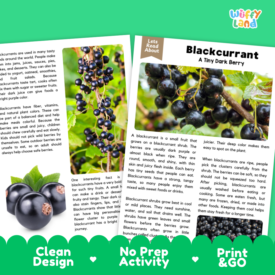 Teacher answer key page showing complete question solutions for blackcurrant reading comprehension practice