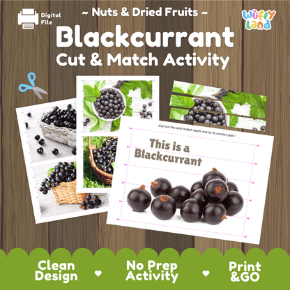 Blackcurrant Cut and Match Activity Worksheets | Nuts and Dried Fruits Puzzle Printables