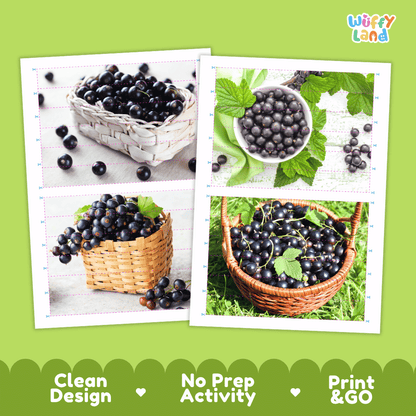 Blackcurrant Cut and Match Activity Worksheets | Nuts and Dried Fruits Puzzle Printables