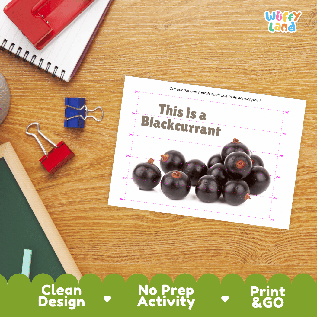 Blackcurrant Cut and Match Activity Worksheets | Nuts and Dried Fruits Puzzle Printables