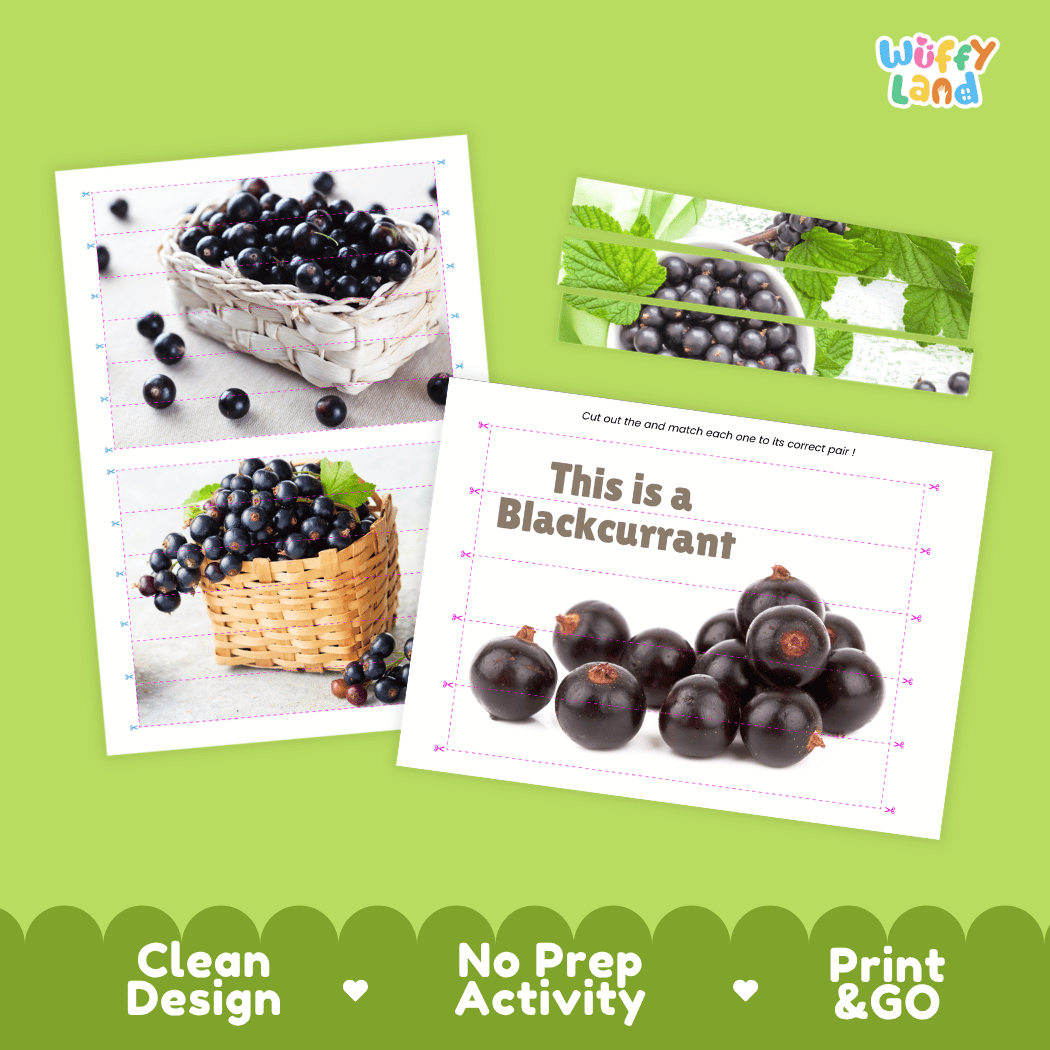 Blackcurrant Cut and Match Activity Worksheets | Nuts and Dried Fruits Puzzle Printables