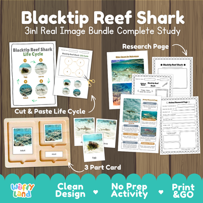 Blacktip reef shark 3-in-1 real image bundle complete study cover showing cut and paste life cycle, 3 part cards, and research pages