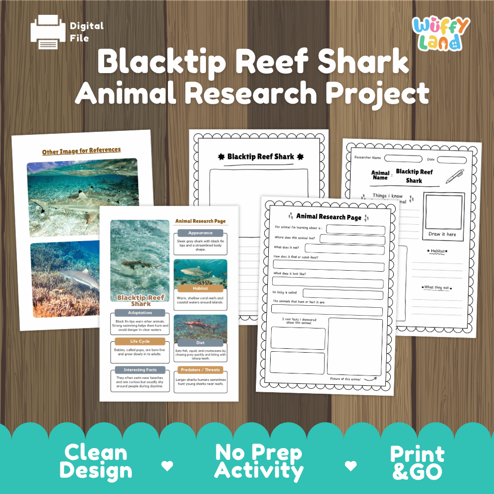 Blacktip Reef Shark Animal Research Project and Worksheets Print and Go Activity