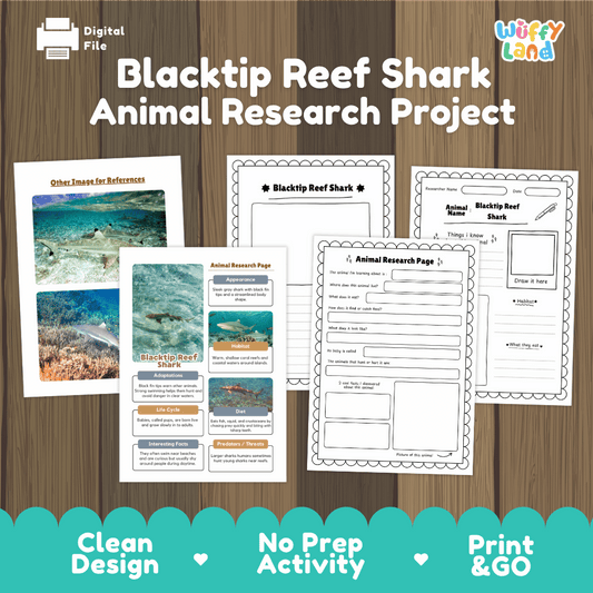 Clean design no prep print and go blacktip reef shark marine animal life cycle study printable PDF pack for elementary science