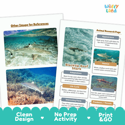 Blacktip Reef Shark Animal Research Project and Worksheets Print and Go Activity