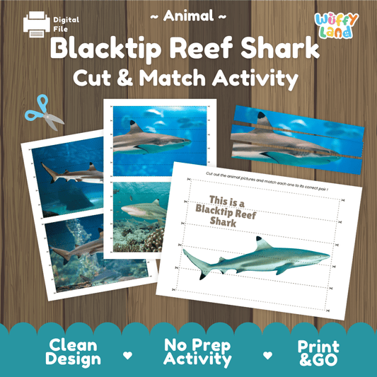 Blacktip Reef Shark Cut and Match Activity Worksheets | Ocean Animal Puzzle Printables