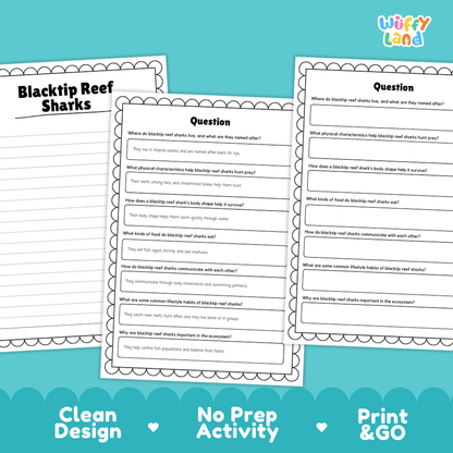 Three printable worksheet pages for a Blacktip Reef Sharks educational activity, displayed on a bright teal background with the text 'Clean Design', 'No Prep Activity', and 'Print & GO'. The top right corner features the 'Wiffy Land' brand logo.
