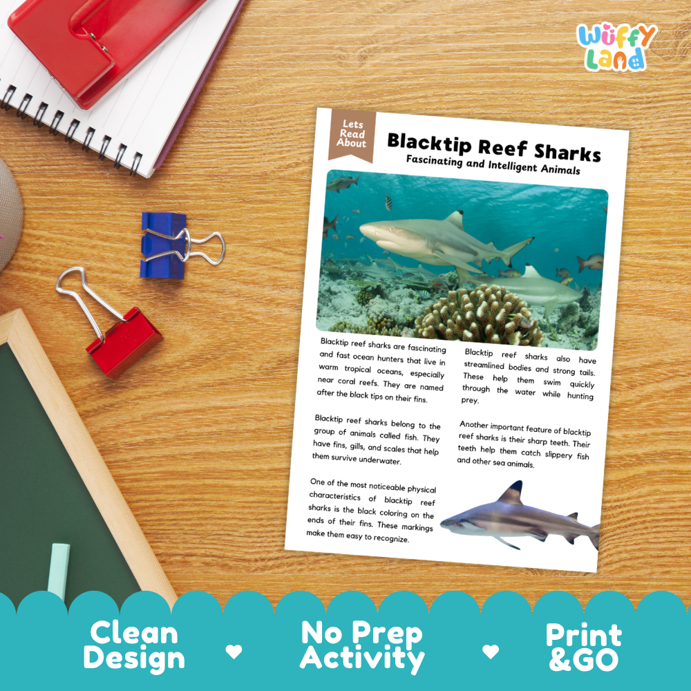 An educational activity sheet about Blacktip Reef Sharks laid on a wooden desk with school supplies. The sheet has a colorful underwater shark photo and text reading 'Blacktip Reef Sharks: Fascinating and Intelligent Animals.