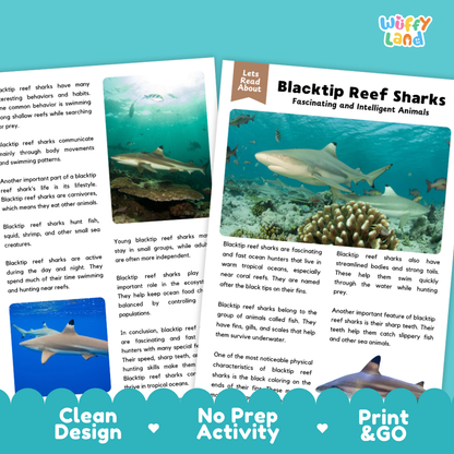 Two educational activity cards about Blacktip Reef Sharks from 'Let's Read About' by 'Ocean Land'. The cards feature a blue and white tropical reef illustration with text blocks on a white background, decorated with 'Clean Design', 'No Prep Activity', and 'Print & Go' badges.