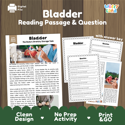 Bladder reading comprehension passage and questions printable activity pack with answer key for elementary students