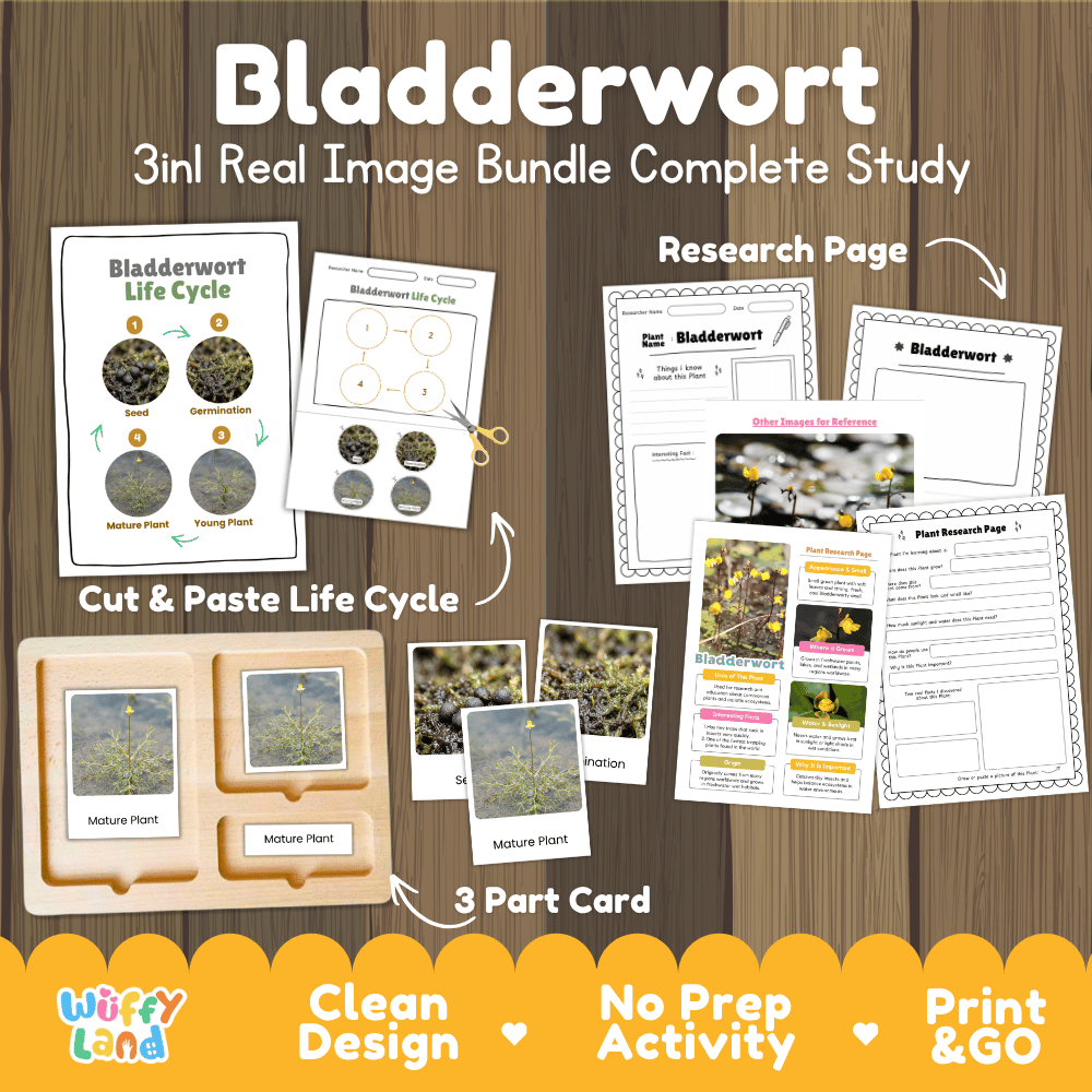 Bladderwort plant 3in1 real image bundle complete study printable featuring life cycle cut and paste worksheets, Montessori 3-part cards, and research pages