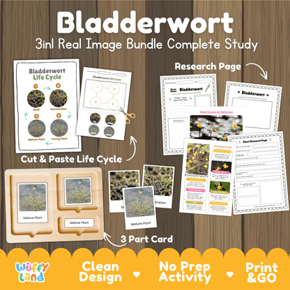 Bladderwort plant 3in1 real image bundle complete study printable featuring life cycle cut and paste worksheets, Montessori 3-part cards, and research pages