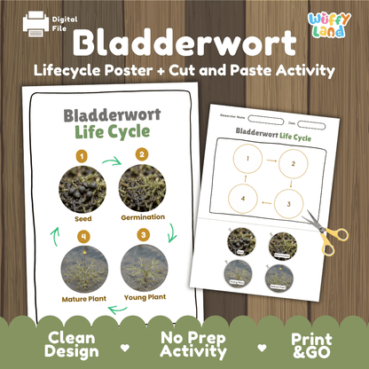 Bladderwort Life Cycle Poster and Cut and Paste Activity Worksheets