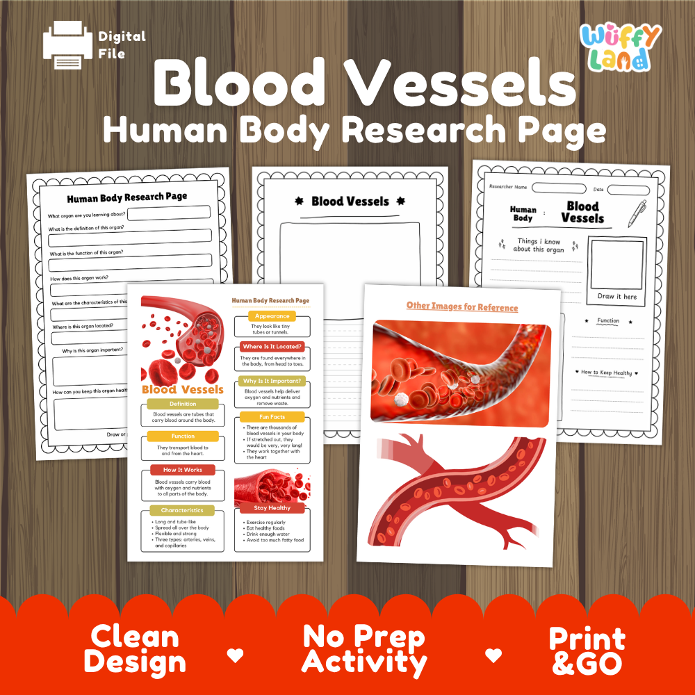 Blood vessels human body research page cover showing printable research worksheets, information cards, and reference sheets