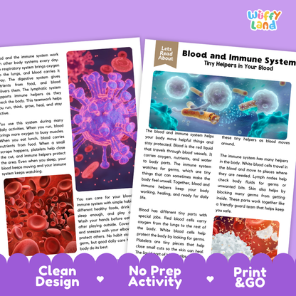 Teacher answer key page showing complete question solutions for Blood and Immune System human body reading comprehension practice