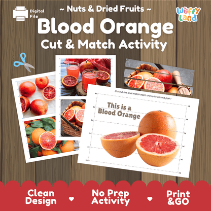 Blood Orange Cut and Match Activity Worksheets | Nuts and Dried Fruits Puzzle Printables