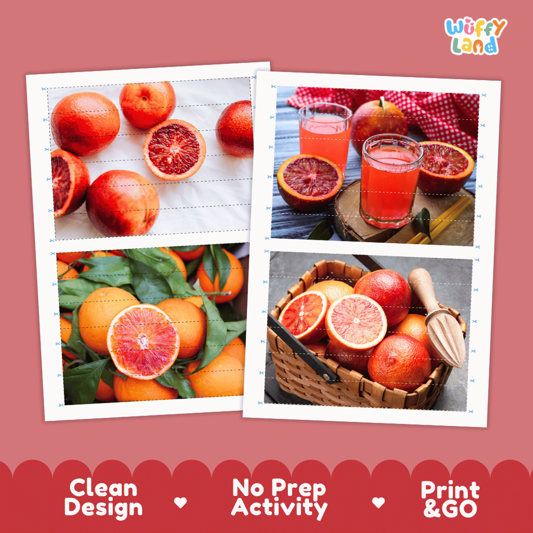 Blood Orange Cut and Match Activity Worksheets | Nuts and Dried Fruits Puzzle Printables