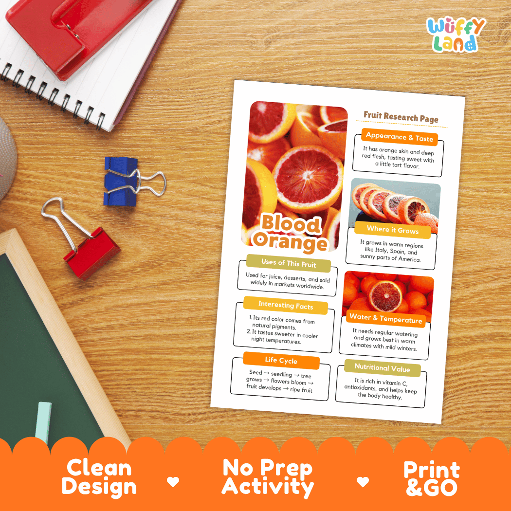 Blood Orange Fruit Research Page Worksheets and Fact Sheet