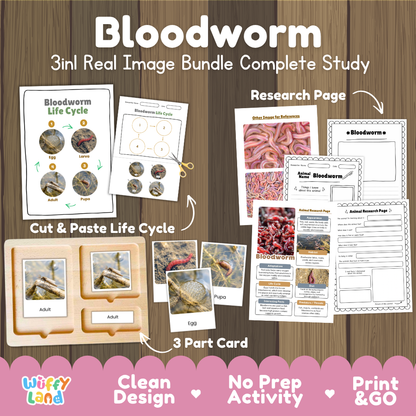 Bloodworm 3-in-1 real image bundle complete study cover showing cut and paste life cycle, 3 part cards, and research pages