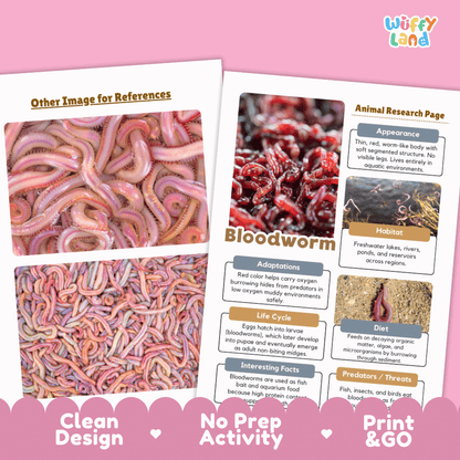 Bloodworm Animal Research Page and Worksheets