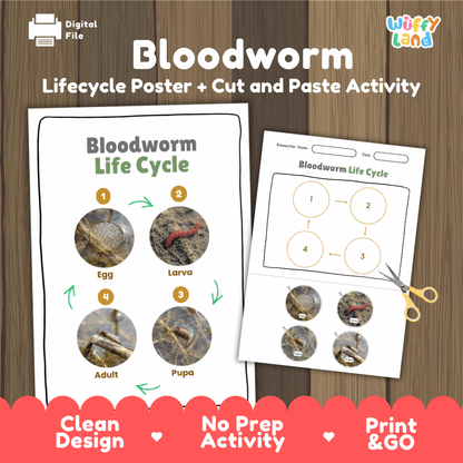 Bloodworm Life Cycle Poster and Cut and Paste Activity Worksheets