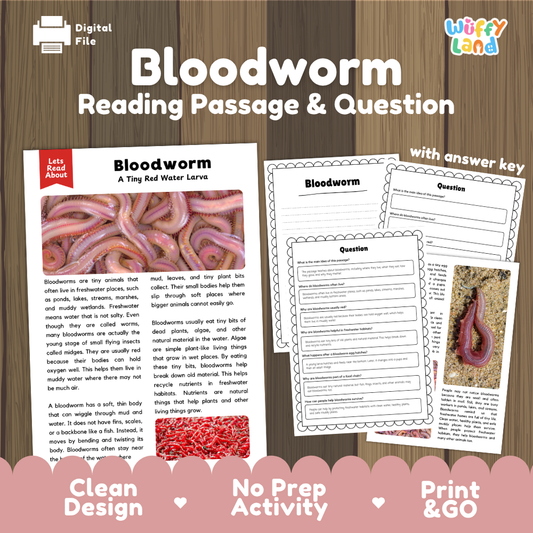 Bloodworm Reading Passage and Comprehension Questions with Answer Key Worksheets