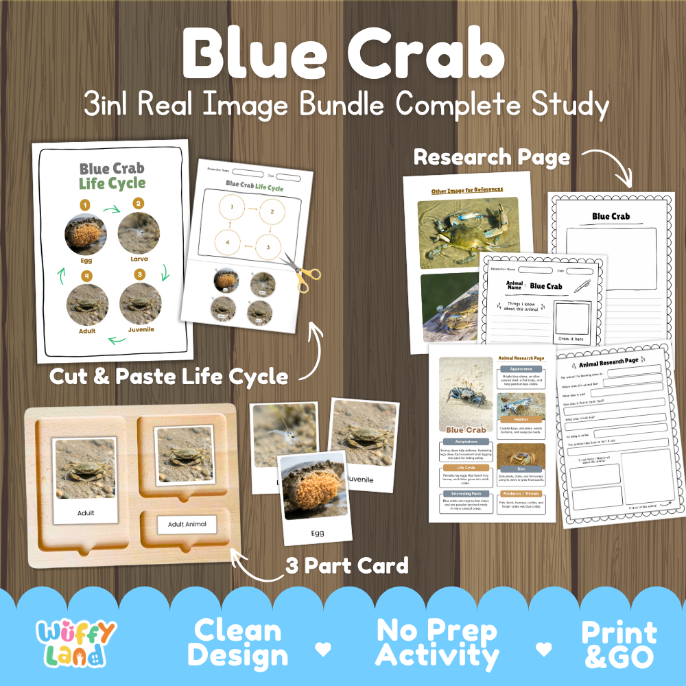 Blue crab 3-in-1 real image bundle complete study cover showing cut and paste life cycle, 3 part cards, and research pages