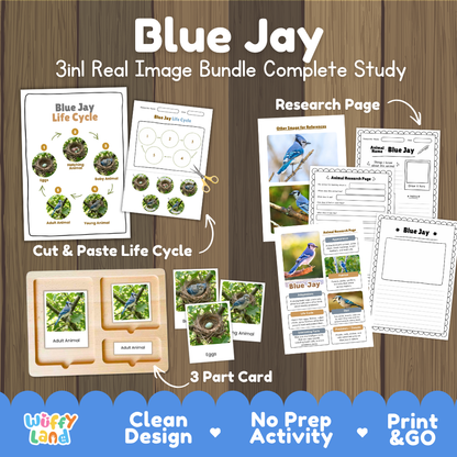 Blue jay 3-in-1 real image bundle complete study cover showing cut and paste life cycle, 3 part cards, and research pages   
