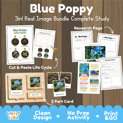 Blue poppy plant 3in1 real image bundle complete study printable featuring life cycle cut and paste worksheets, Montessori 3-part cards, and research pages