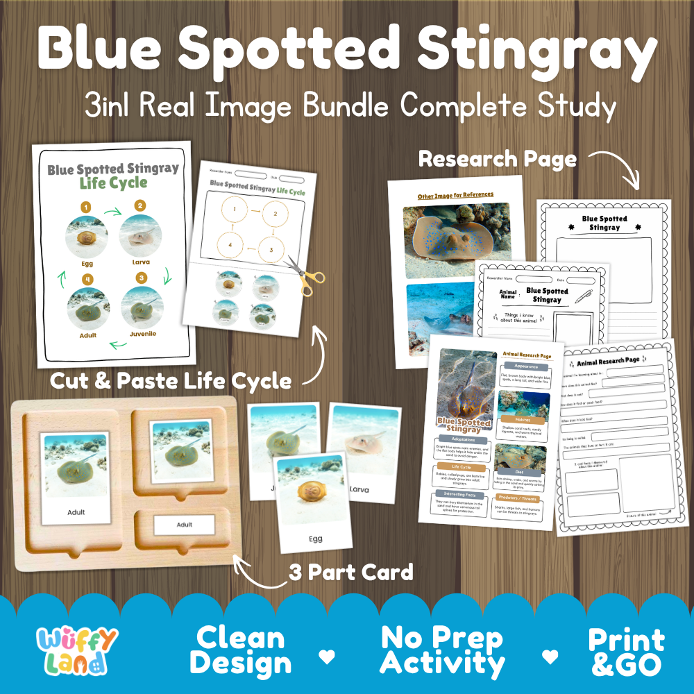 Blue spotted stingray 3-in-1 real image bundle complete study cover showing cut and paste life cycle, 3 part cards, and research pages