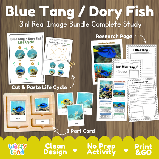 Blue tang dory fish 3-in-1 real image bundle complete study cover showing cut and paste life cycle, 3 part cards, and research pages
