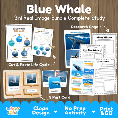 Blue whale 3-in-1 real image bundle complete study cover showing cut and paste life cycle, 3 part cards, and research pages