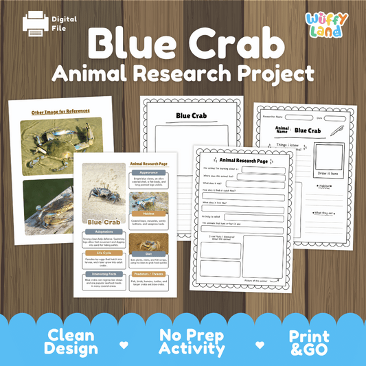 Clean design no prep print and go blue crab marine crustacean estuary animal life cycle study printable PDF pack for elementary science