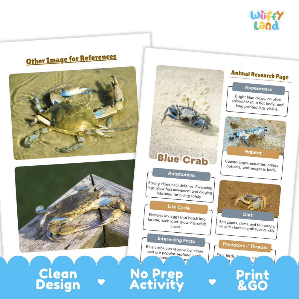 Blue Crab Animal Research Project and Worksheets Print and Go Activity