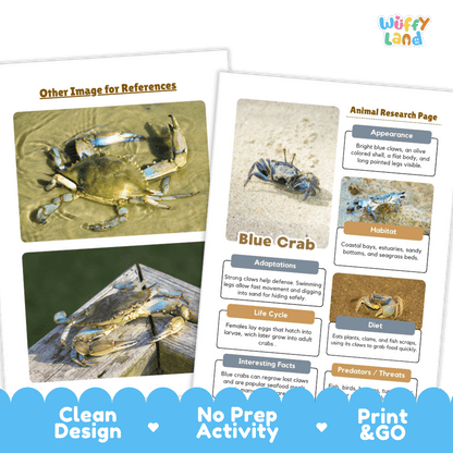 Blue Crab Animal Research Project and Worksheets Print and Go Activity