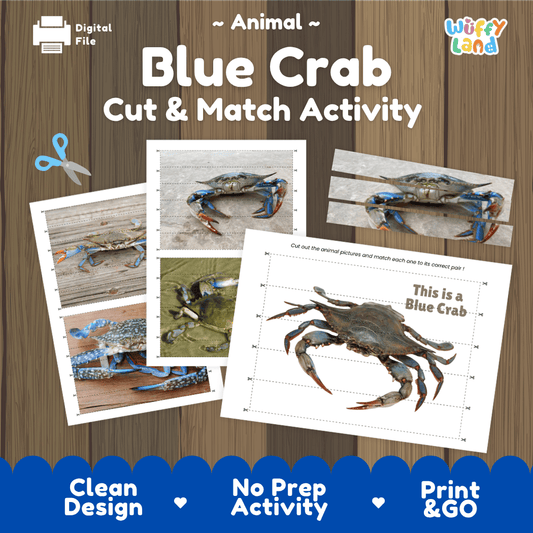 Blue Crab Cut and Match Activity Worksheets | Ocean Animal Puzzle Printables