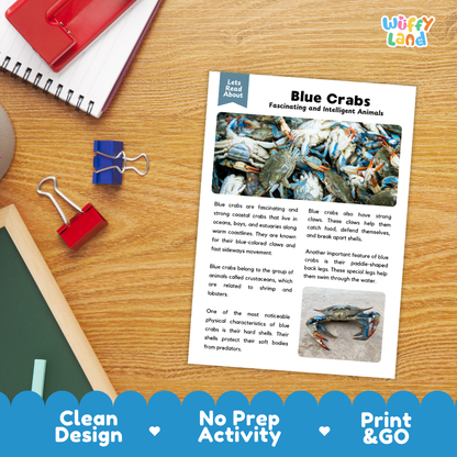 Blue Crab Reading Passage and Comprehension Questions Worksheets