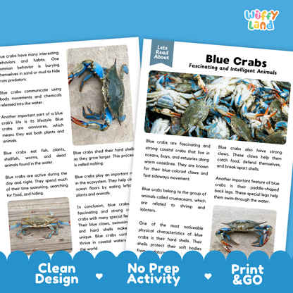 An educational activity booklet titled 'Blue Crabs Fascinating and Intelligent Animals' by Wuffly Land, featuring a clean white cover with colorful blue crab illustrations, text, and a blue 'Clean Design No Prep Activity Print & Go' banner at the bottom.