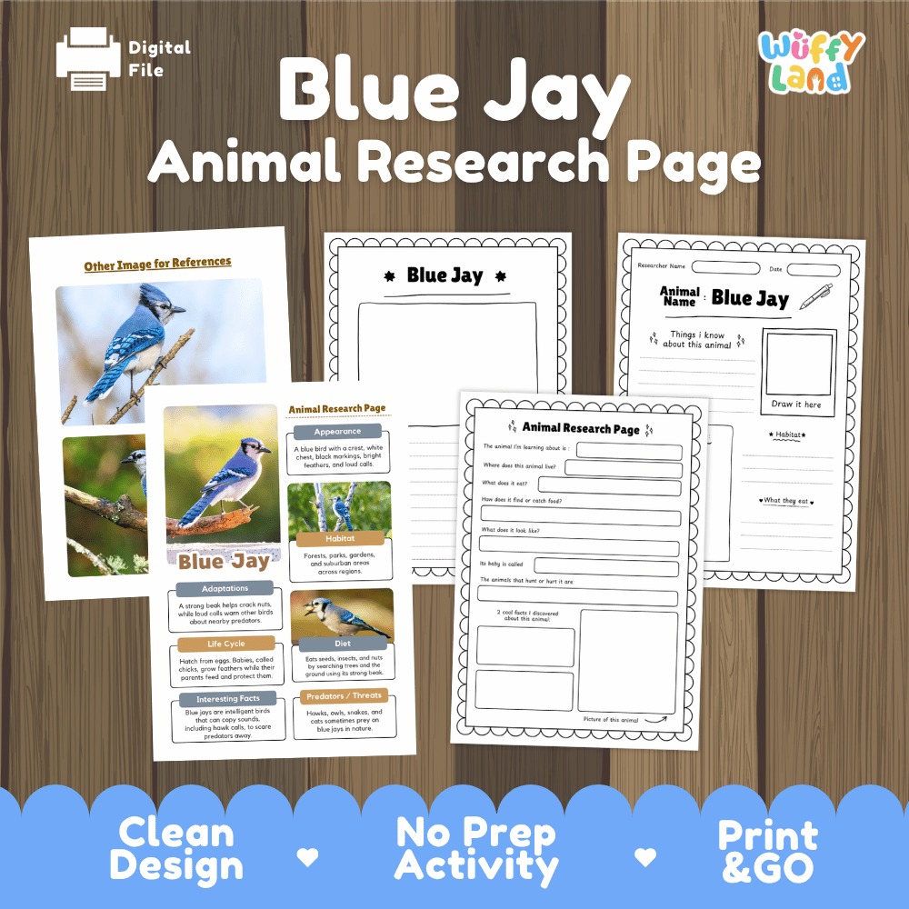 Blue Jay Animal Research Page and Worksheets