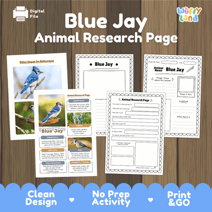 Blue Jay Animal Research Page and Worksheets