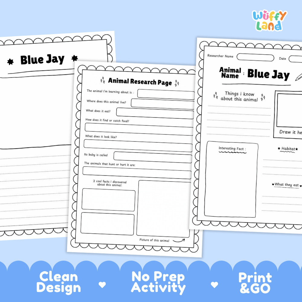Blue Jay Animal Research Page and Worksheets