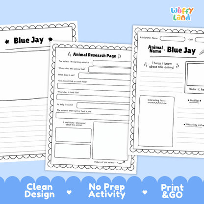 Blue Jay Animal Research Page and Worksheets