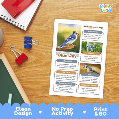 Blue Jay Animal Research Page and Worksheets